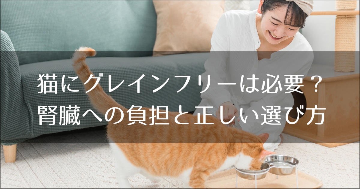 グレインフリー